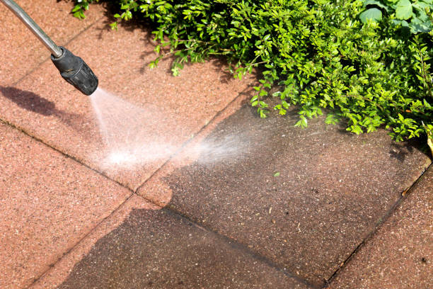 Best Roof Pressure Washing  in Queen City, TX